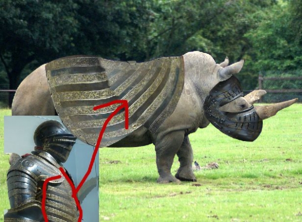 Creation of RhinoForce: Step 3